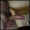Professional guy looking for like minded couples and females