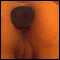 Barnstaple, Looking for fun and frolics, either photos, webcam, phone and to maybe meet