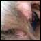 , Bi Couple for fun and friendship