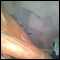northampton, hi big fit musly black guy looking for hot fun all nite long.