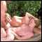 Derby, 23 years, clean male is looking for fun in derbyshire....