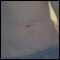 Pontypool, Horny couple looking for adult fun