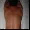 Basingstoke, Looking For Adult Fun