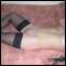 Nottingham, Sexy lady looking for some female fun