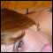 , Male Female Couple looking for Bi Males.