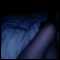 liverpool, Horni