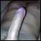 worcester, Hi, fit attractive and looking for some fun