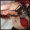 milton keynes, i am am a happily married bi curious girl looking to learn 