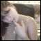 Male Female Couple looking for Bi Males.