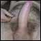 wellington, Attractive male seeks new couple for naughty fun!