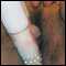 DUNDEE, I am a BBW looking for similar built female or male for a bit of fun.