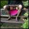 Guildford, LarrainCd seeking others to explore my feminity with other Cds
