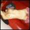 London, Just fun for threesome (MFM) or couple