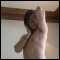 , New in Town, looking for new friends and for FUN