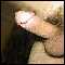 Siena - Tuscany, Hot, Hard and Longlasting - Caldo, Duro e Resistente