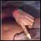 tema, want advernture  ? come 4 real passion