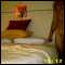 Mansfield, Professional, fun loving and easy to get on with
