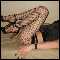 glasgow outskirts, mature tv 4 dressing fun