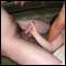 norwich, experienced bi couple looking for fun