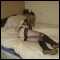 Horny coulple looking for single adventurous male for threesome and more