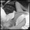 ramsgate, kent Escort available for FUN times