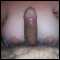 swanea, please no time wasters had enough of them lately if you want good sex then get in touch