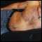 Swindon, Couple looking for a bi-sexual woman/straight couple (bi curious woman )