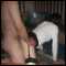 Mexborough, Slim T Girl looking for fun