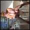 villa joysa, hi im sexy gina living on the costa blanca looking for women,couples,tsg and guys,please help !