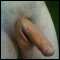 swindon, 25 yr old fit nyphomaniac looking for very horny submissive women