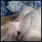 Derby, I am a horny bi-sexual looking for a horny bi/les girl who wants to meet for fun
