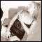 Great Yarmouth, Hot young woman looking for fun