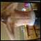 pershore, fun loving energetic nympho!!!!