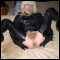 Swindon, Sexslave rubberslut needs abuse+humiliation in Swindon