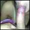 all, sexy yng cpl looking for fun and frienship
