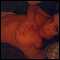 Luton, Bi-curious Female to try threesome
