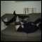 daventry, michael & stephanie here,genuine couple looking for fun times
